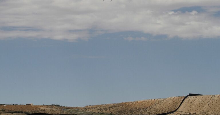 뉴멕시코 이민자 사망자 10배 증가
    


