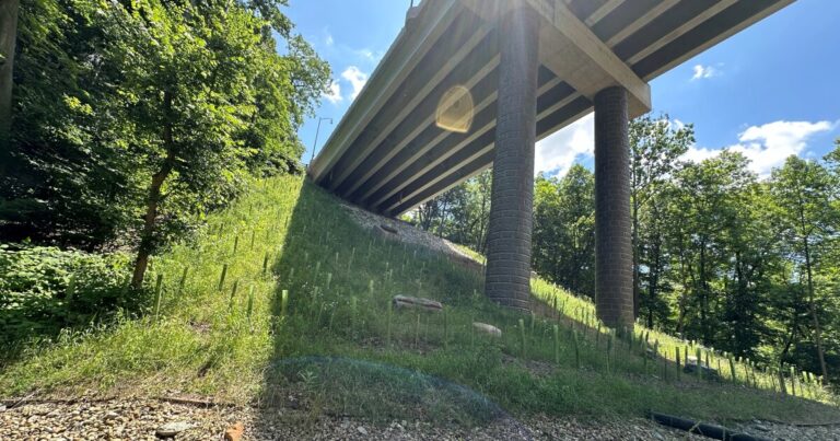 Gainey 행정부, Fern Hollow Bridge 붕괴 피해자에게 50만 달러 제공
    


