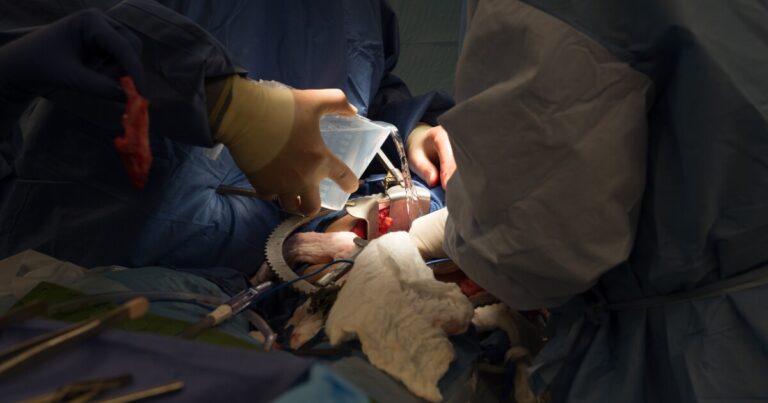 메디케어 공개 등록이 다가오고 있습니다. 건강 보험을 구입할 때 알아야 할 사항은 다음과 같습니다.
    


