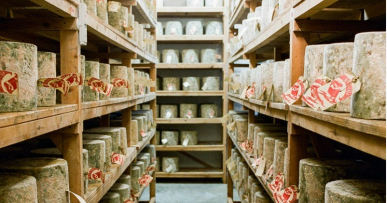 사기꾼들이 수천 파운드의 고급 체다 치즈를 훔쳐 영국 치즈 세계를 뒤흔들었습니다.
    


