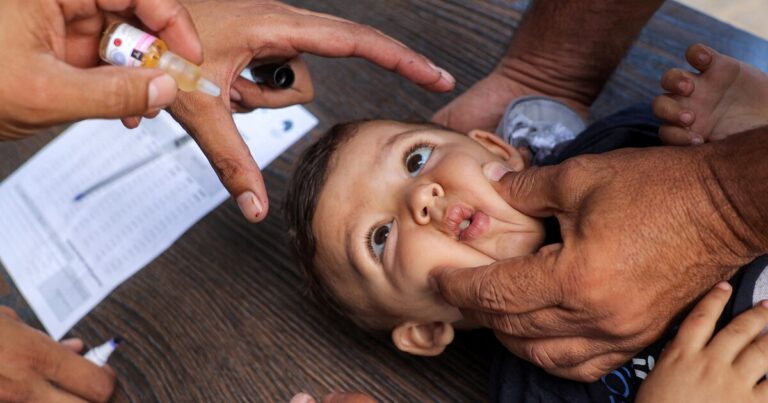 소아마비 발병을 억제하기 위해 가자 지구의 어린이들에게 추가 백신 접종을 받고 있습니다
    


