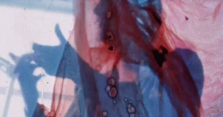 우드 스트리트 갤러리(Wood Street Galleries) 전시회에서는 피츠버그 게이 영화제작자가 간과했던 하이라이트를 전시합니다.
    


