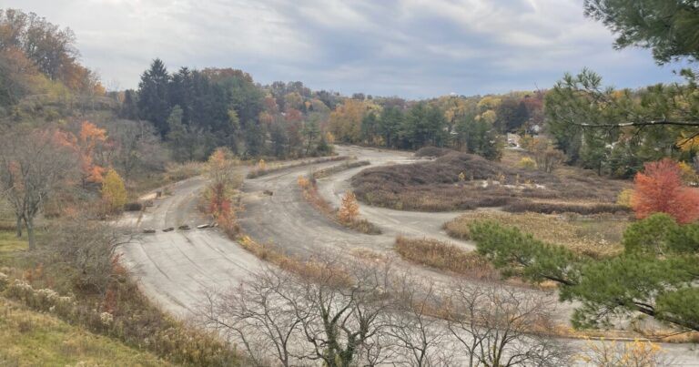 골퍼 없는 골프장: 피트의 '재와일딩(Rewilding)' 전시는 지역 코스의 자연 복귀를 보여줍니다.
    


