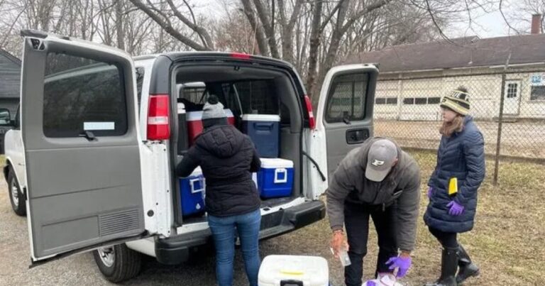 새로운 연구는 동 팔레스타인 탈선에 대한 오염과 대응에 대해 밝힙니다.
    


