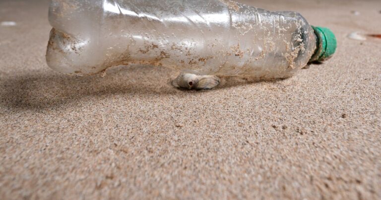 플라스틱 쓰레기는 어디에나 있습니다. 국가들이 해결책에 동의할 기회가 한 번 더 주어졌습니다.
    


