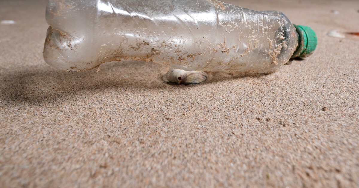 플라스틱 쓰레기는 어디에나 있습니다. 국가들이 해결책에 동의할 기회가 한 번 더 주어졌습니다.