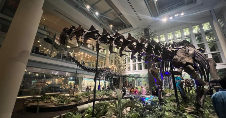 피츠버그 카네기 자연사 박물관, 11명 해고
    


