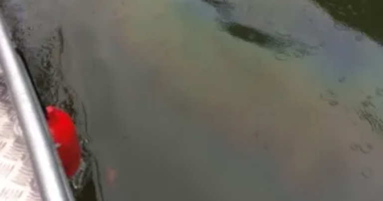 Pa. 그룹은 US Steel이 Mon River로의 유류 방출을 중단하도록 보다 엄격한 허가를 원합니다.
    


