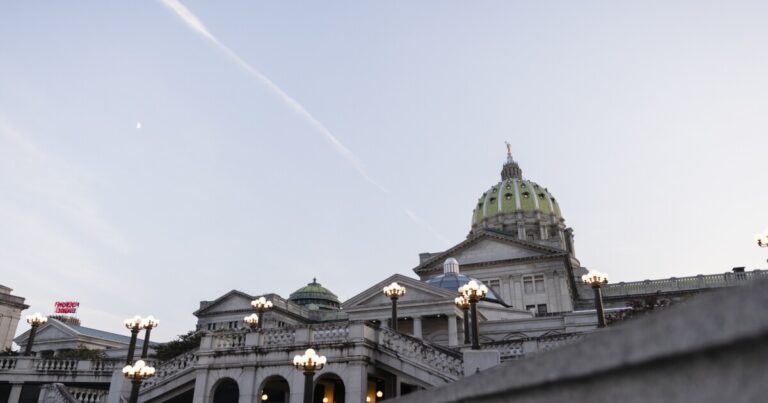 노인들을 학대로부터 보호하기 위해 해리스버그에 로비를 벌이는 우연한 활동가
    


