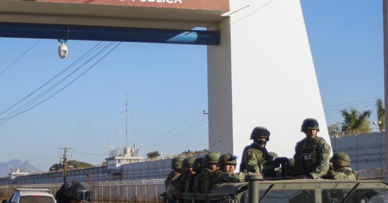 멕시코군, 시날로아주 북부에서 기록적인 펜타닐 적발
    


