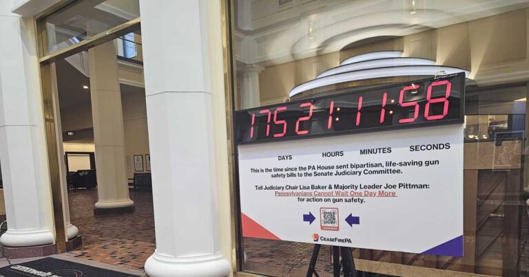 법원의 패소는 펜실베니아주 총기법 강화를 위한 싸움의 끝이 아니라고 옹호자들은 말합니다.
    


