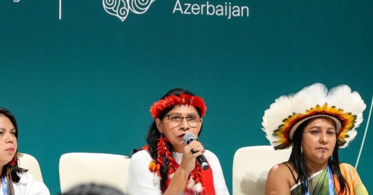 올해 기후 회담에 실망한 원주민 옹호자들은 2025년 브라질을 바라보고 있습니다.
    


