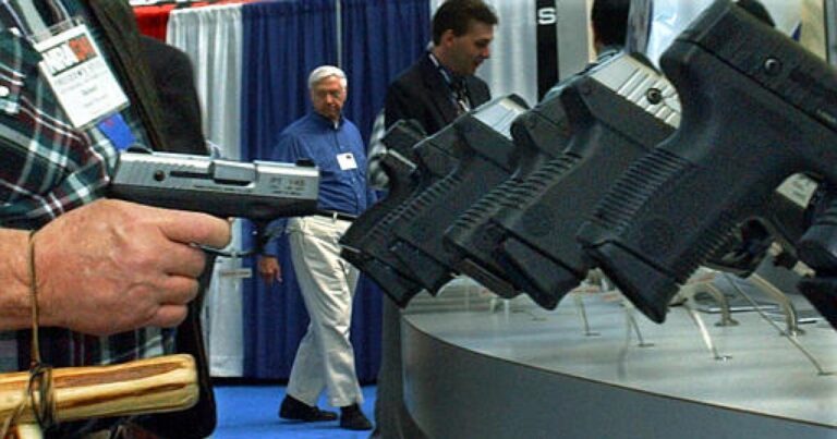 주 대법원 판결 이후 총기류를 규제하려는 피츠버그의 노력
    


