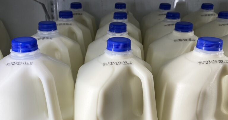 펜실베니아 낙농장은 지금까지 조류독감 발생을 피해왔습니다.
    


