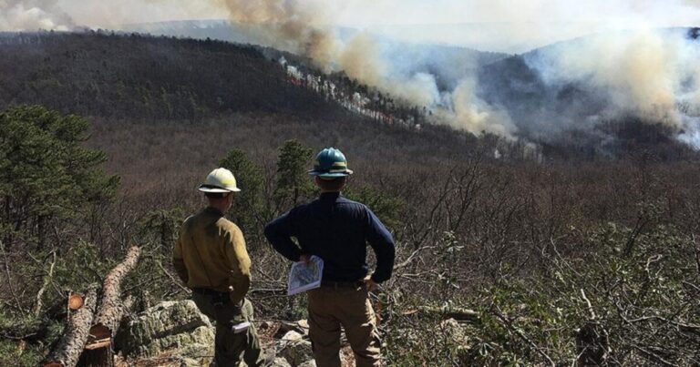 펜실베니아, 올 가을 기록적인 산불 발생
    


