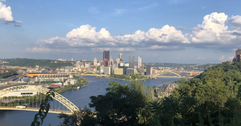 피츠버그 시의회 웨스트엔드 의석 공석 경쟁에 뛰어든 후보들
    


