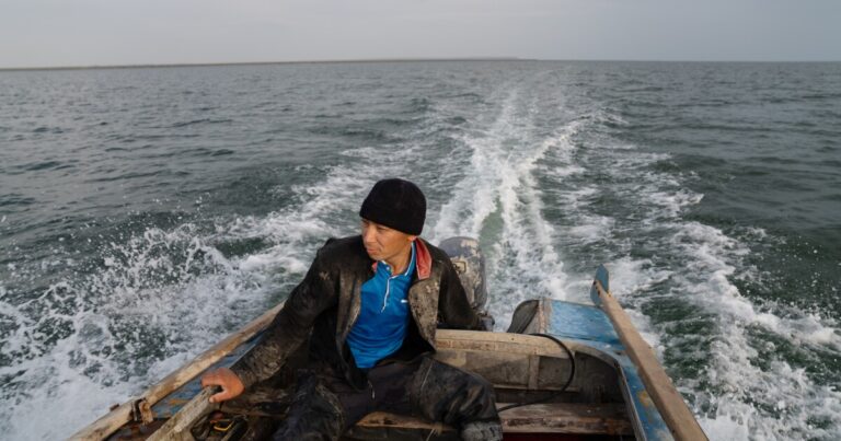 2024년 우리를 감동시킨 전 세계 NPR 사진
    


