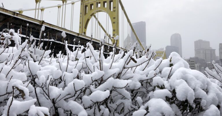 Peoples Gas는 알고리즘을 사용하여 도움이 필요한 Allegheny 카운티 고객을 식별합니다.
    


