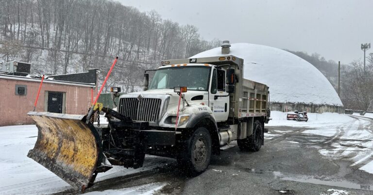 모든 눈에도 불구하고 전문가들은 '도로 소금 다이어트'를 추천합니다.
    


