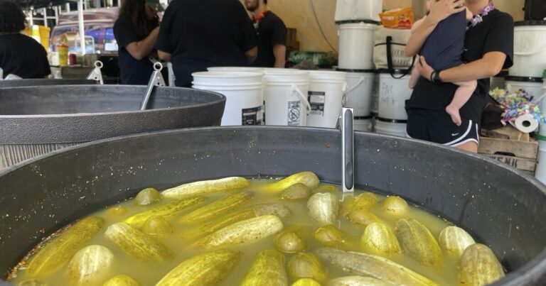 일생일대의 딜? 자체적인 어려움을 겪고 있는 국가에서 피클이 2024년을 지배했습니다.
    


