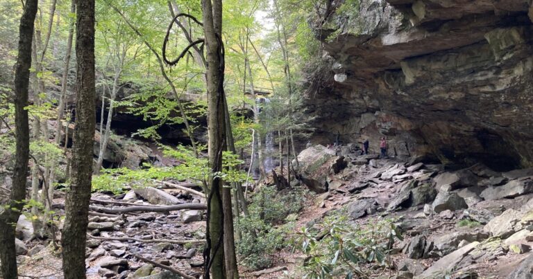 주립공원 가이드 하이킹은 펜실베니아 주민들이 2025년을 올바른 발로 시작하는 데 도움이 될 수 있습니다
    


