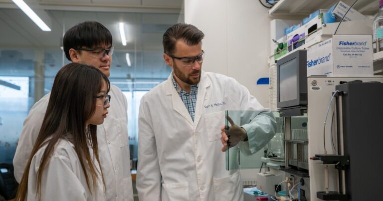 Penn State Team 덕분에 백신 냉장이 선택 사항이 될 수 있습니다.
    


