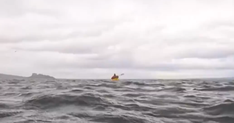 고래가 카약을 삼키는가? 바이러스 성 비디오의 진실
    


