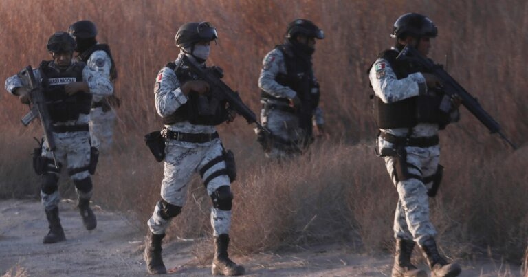 멕시코는 관세 위협 후 최초의 방위군 부대를 미국 국경에 배치합니다.
    


