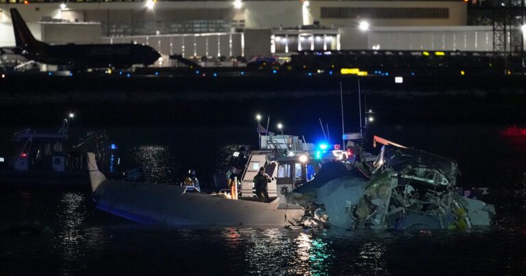 비행기, 블랙 호크 헬리콥터는 DC 근처에서 충돌하고 트럼프의 관타나모 계획
    


