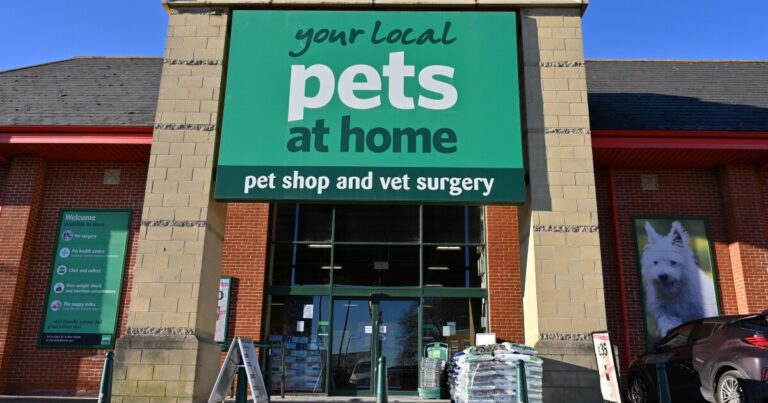 뼈 appétit! 실험실에서 자란 고기의 개 간식은 영국 시장에 부딪칩니다.
    


