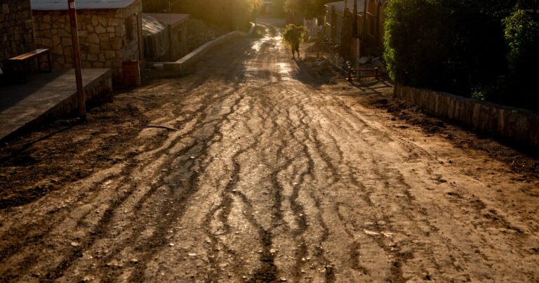 칠레의 한 공동체가 리튬으로 축복 받고 저주받는 방법
    


