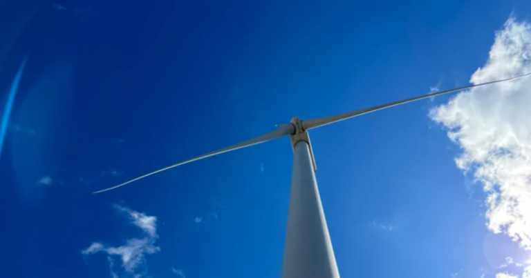 트럼프의 집행 명령 챔피언 화석 연료, 풍력 발전을 두드리십시오.
    


