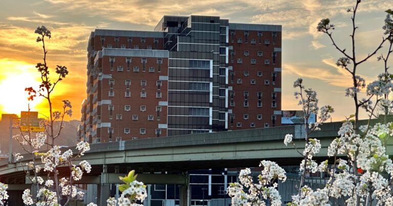 Allegheny County는 감옥의 오피오이드 사용 장애 치료 프로그램을 확대합니다
    


