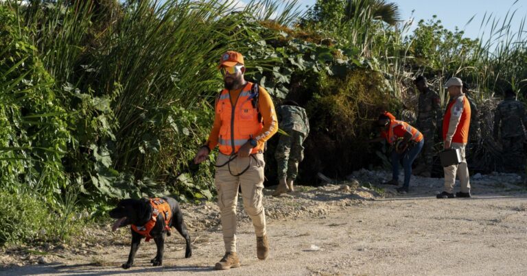 도미니카 공화국에서 실종 된 미국 학생 검색에 대해 우리가 알고있는 것
    


