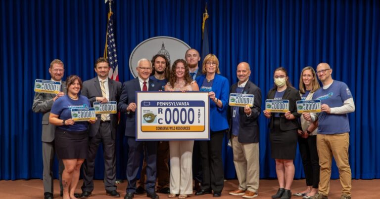 번호판 점검은 PA의 풍부한 디자인 역사에 대한 창을 제공합니다.
    


