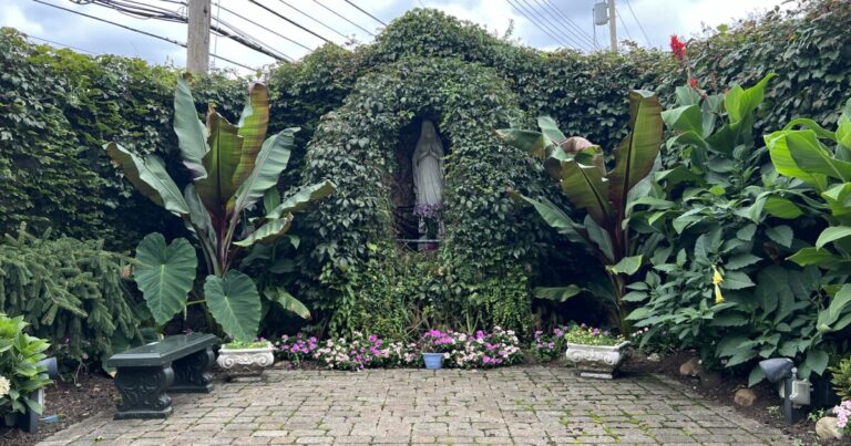 얼어 붙은 임업 기금 속에서 피츠버그의 신앙 지도자들은 환경 목자가되도록 요청했습니다.
    


