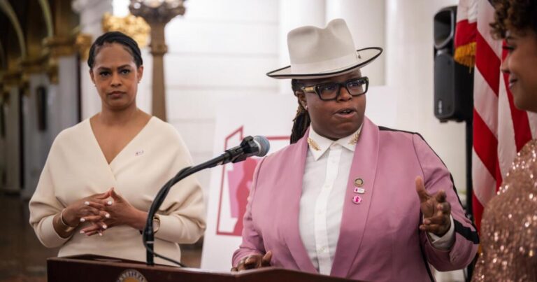 피츠버그 민주당 La'tasha Mayes의 모성 건강 최고 예산 우선 순위 
    


