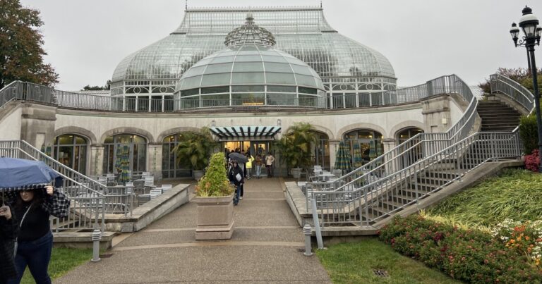 국가 엔 다우먼트에서 인문학에서 Doge Cuts는 카네기 박물관, Phipps 등을 강타했습니다.
