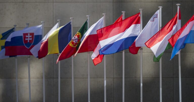 유럽 ​​연합은 미국의 새로운 보복 관세를 승인합니다
    


