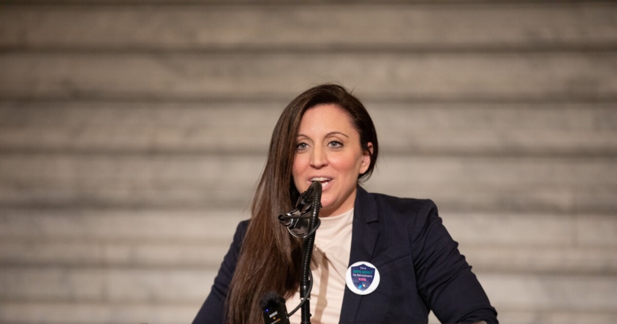 이빨이없는 '아동 옹호자'는 권한을 부여받은 학대 감시자로 대체해야한다고 전직 사무실 보유자는 말한다.