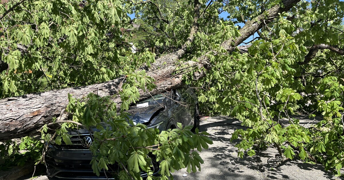Allegheny County Council은 폭풍 준비를 검토하기위한위원회를 시작합니다