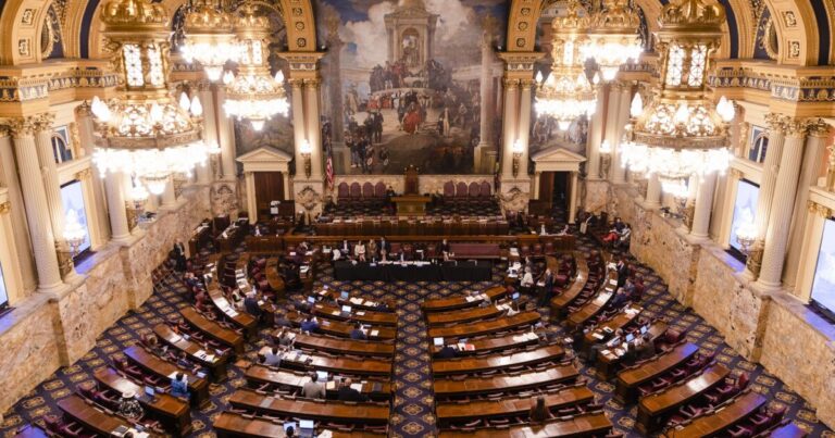 Pa. Lawmakers의 숨겨진 재능 : 뉴요커 작가, MMA 전투기 및 악어 구조
    


