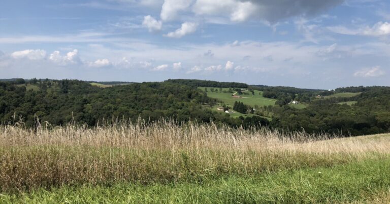 Pa. Trump Admin이 기후 친화적 인 보조금을 뿌린 수백 명의 농민
