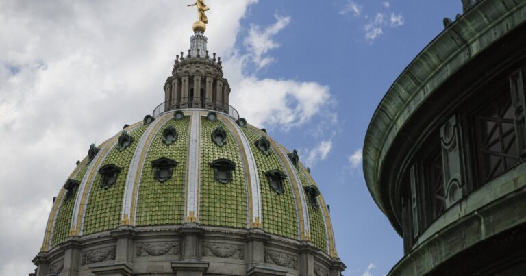 Pa. 상원 패스 Bill Banning Banning Trans Girls and Women and School Sports
    


