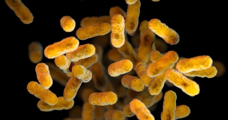 Pa. 주 중에는 백일해 기침 사건으로 가장 큰 타격을 입었습니다
