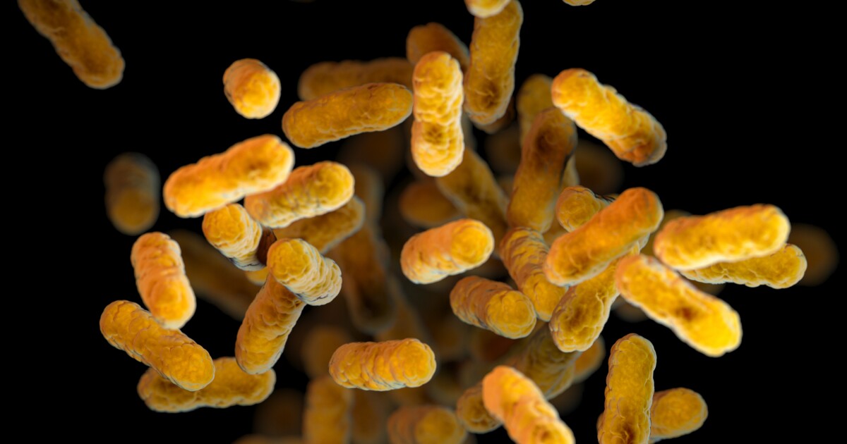 Pa. 주 중에는 백일해 기침 사건으로 가장 큰 타격을 입었습니다