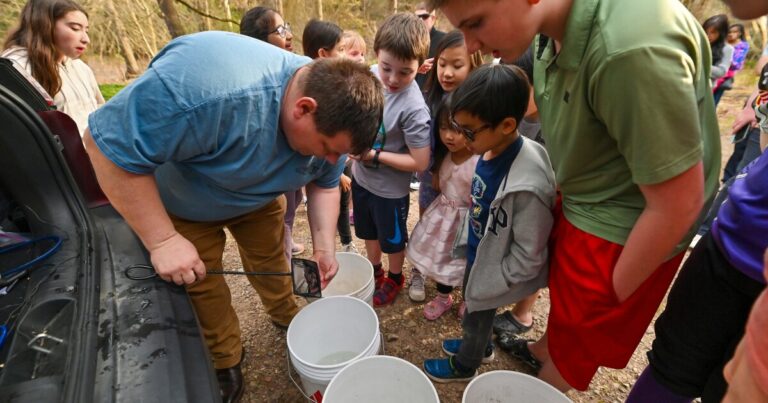 교실에서 크릭까지 : Pa. 학생들은 물고기를 키우고 방출하여 송어에 대해 배웁니다.
