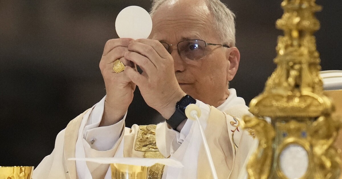 교황 레오는 로마의 주교가되면서 '나는 로마이다.