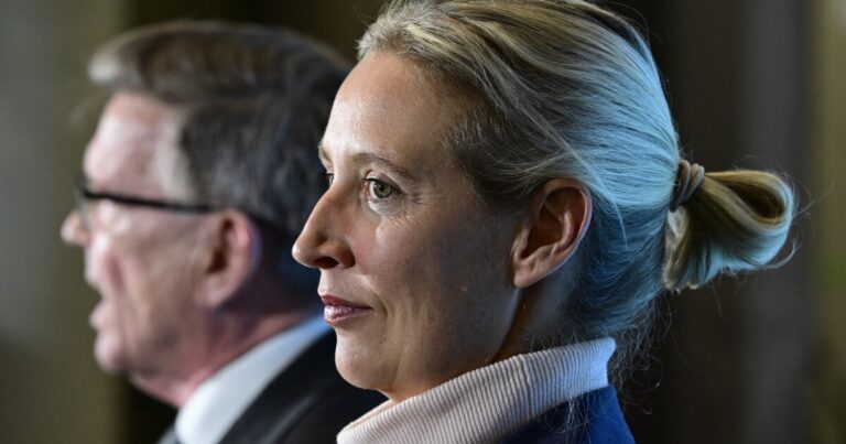 독일의 국내 정보는 우익 AFD 당사자를 극단 주의자로 표시합니다
