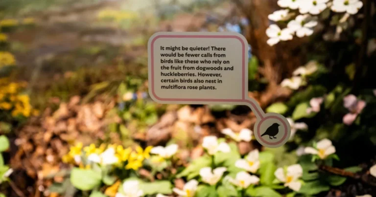 침입 식물은 뉴 카네기 자연사 박물관 전시회에서 주목을받습니다.
